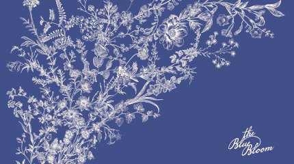 JAC The Blue Bloom Linesheets