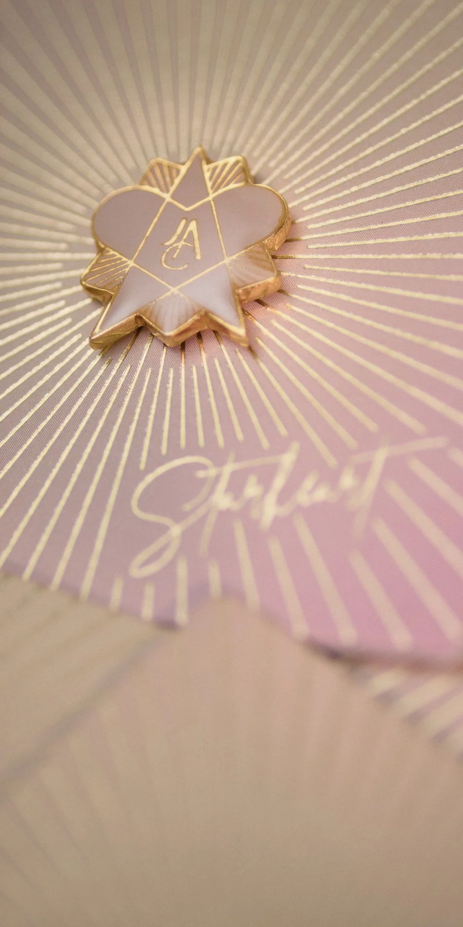 webpSTEARHEART enamel magnetic pin canopus 6