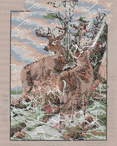 alpinia gallery 3 1 1